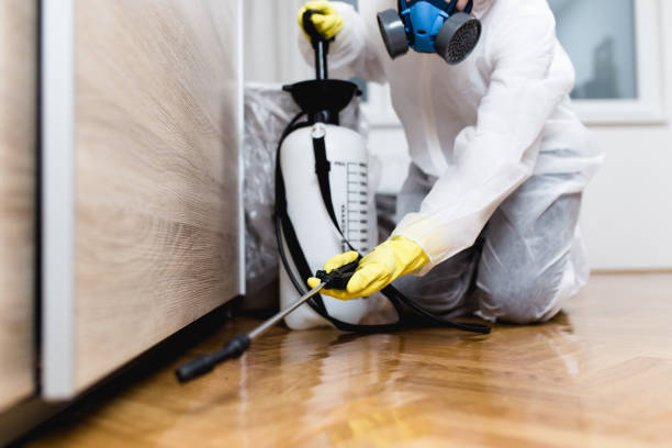 Flea Control Services in Bristol, TN