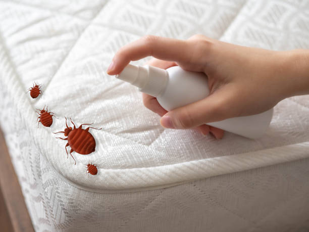 Best Emergency Pest Control  in Bristol, TN